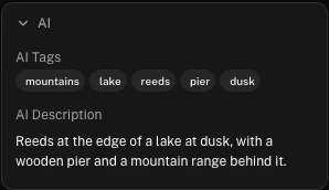 Close-up of a photo’s details: the AI tags mountains, lake, reeds, pier and dusk, and the AI description “Reeds at the edge of a lake at dusk, with a wooden pier and a mountain range behind it.”
